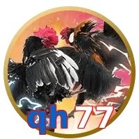qh77